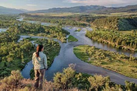 Let’s Get The Snake River Moving Again Image